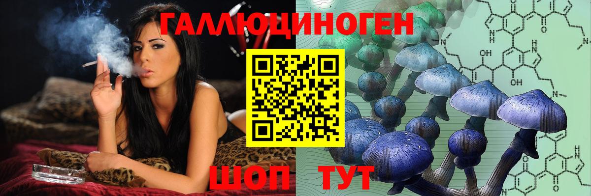 Галлюциногенные грибы Psilocybe  Вход с VPN  Губкин 